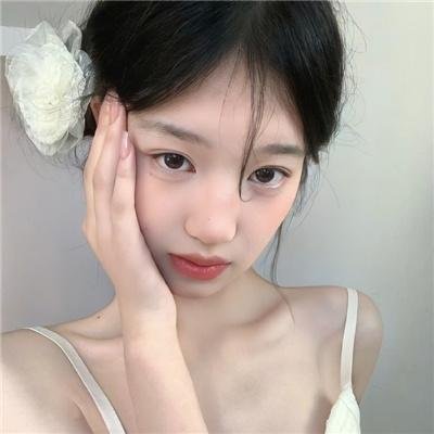 百日蔷薇